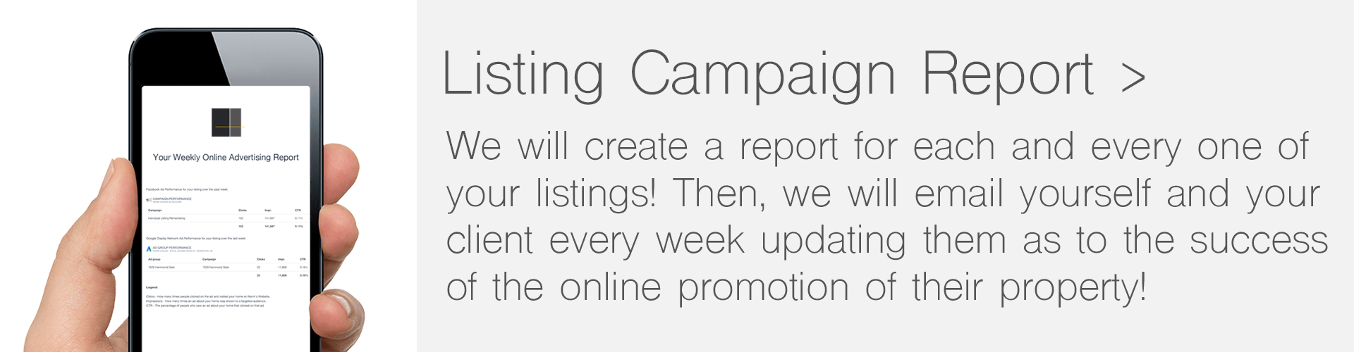 Listing-Campaign-Report-long